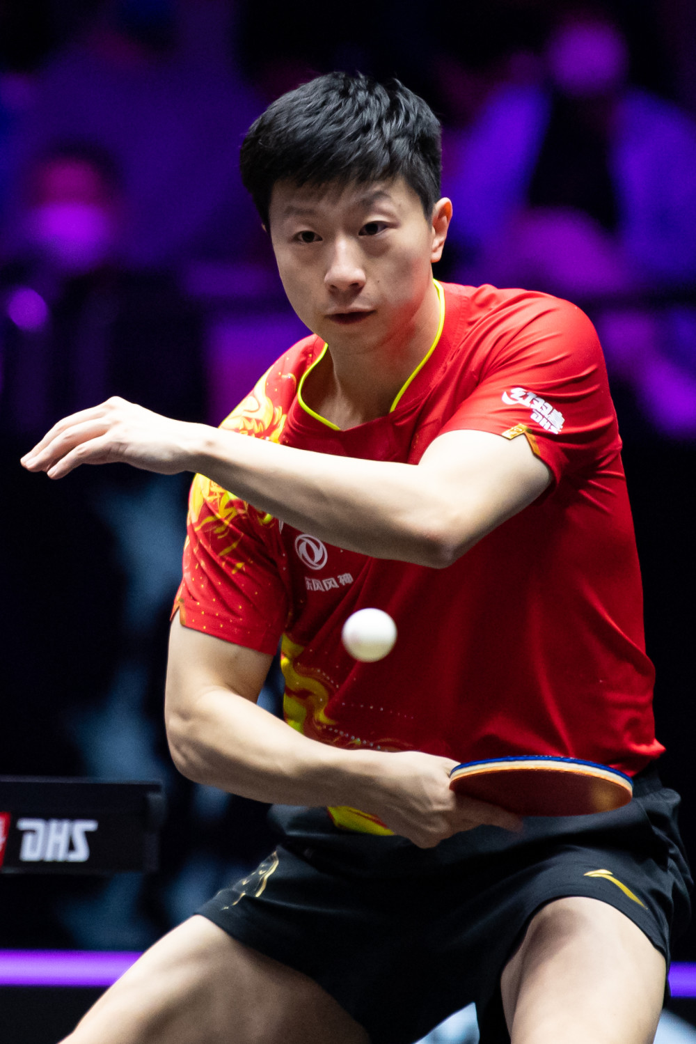 凡博成功的 凡博成功的